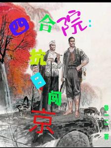 四合院抗风性能