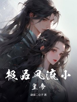 小说极品风流少年